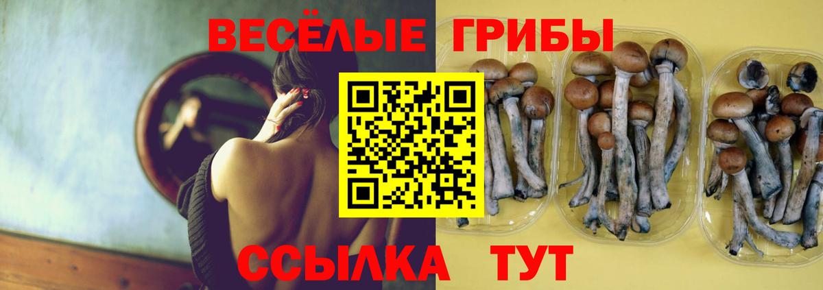 Галлюциногенные грибы Psilocybine cubensis  Галлюциногенные грибы мухоморы  Вход с VPN  Серов 