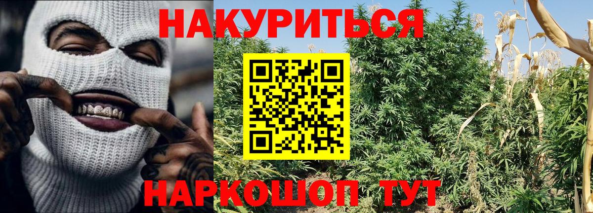 Бошки марихуана VHQ Серов